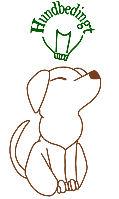 Hundbedingt Trainieren