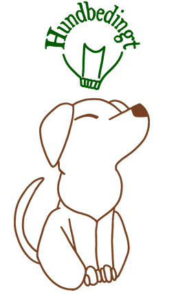 Hundbedingt Trainieren